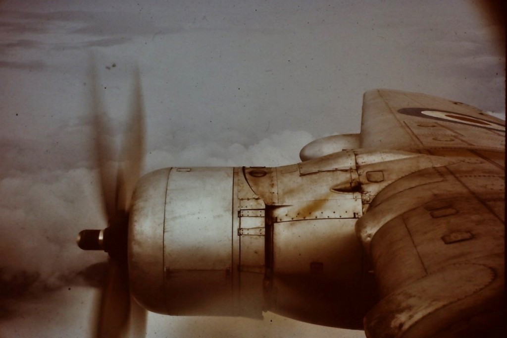 Hastings by Vic Ward 3.JPG