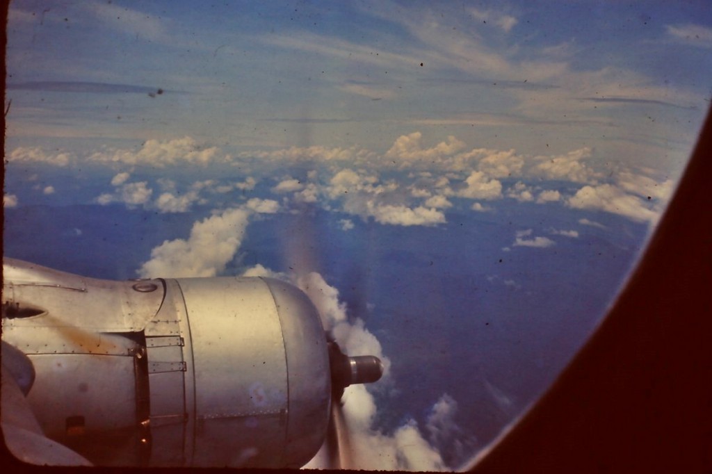 Hastings by Vic Ward 4.JPG