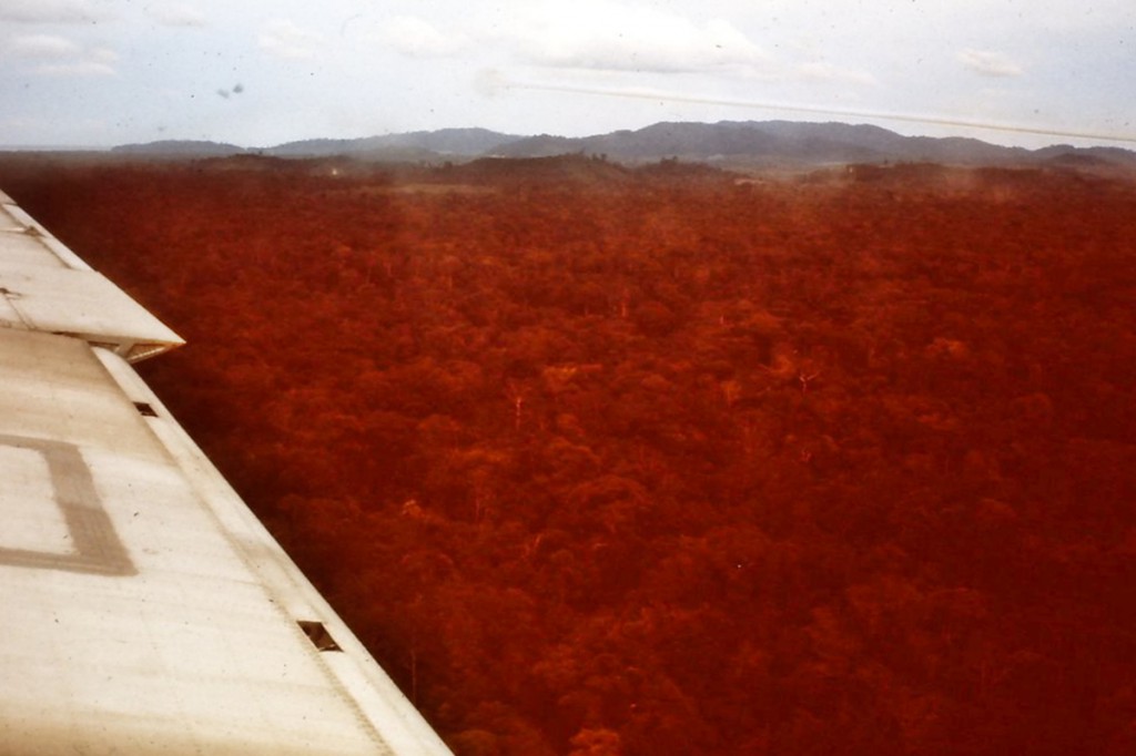 Hastings by Vic Ward 6.JPG